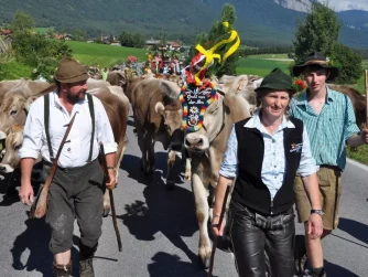 (Foto: Knut Kuckel)