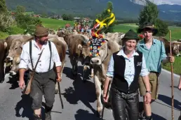 (Foto: Knut Kuckel)