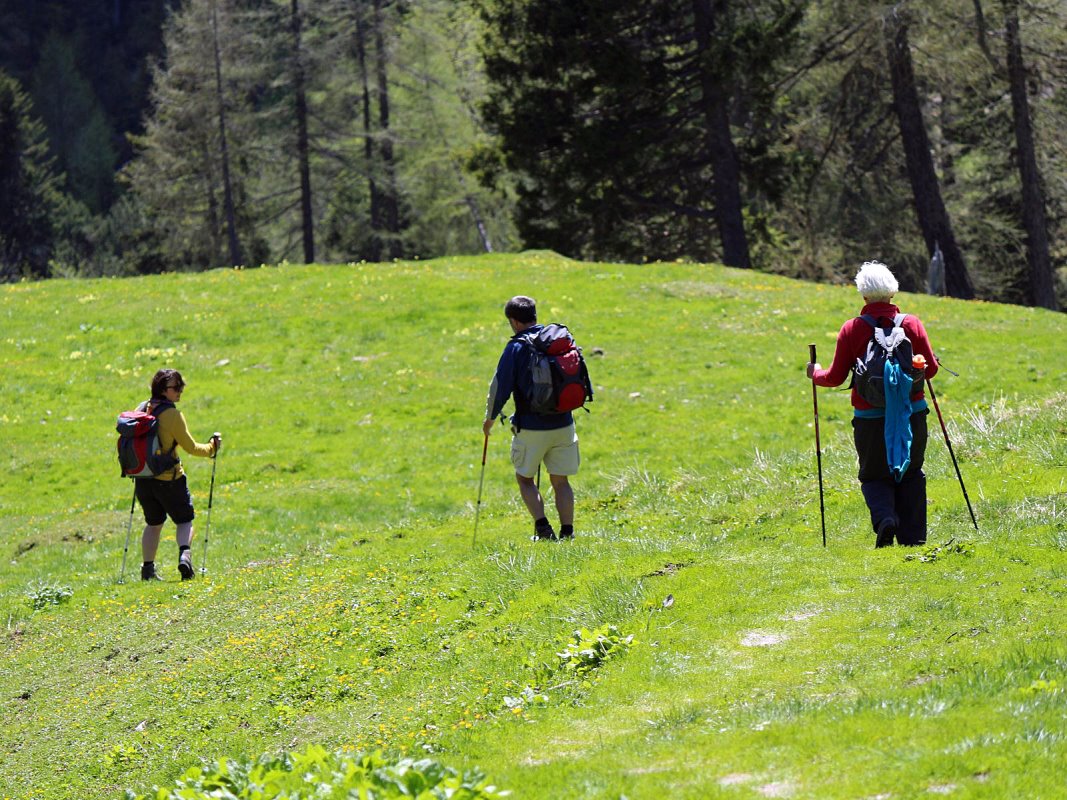 Almwanderer auf ihrem Weg ins Tal. (Foto: Knut Kuckel)