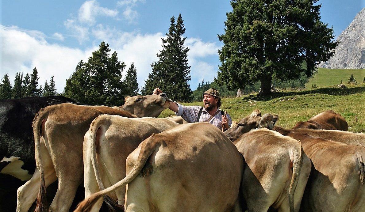 Almhirt Norbert Kluckner. (Foto: Knut Kuckel)