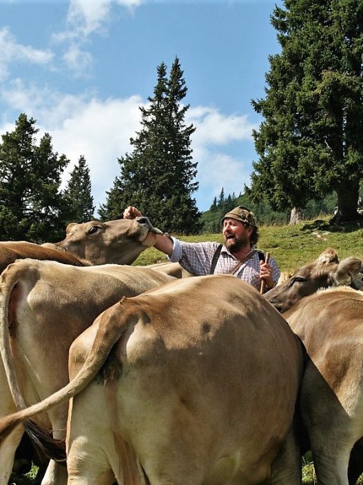 Almhirt Norbert Kluckner. (Foto: Knut Kuckel)
