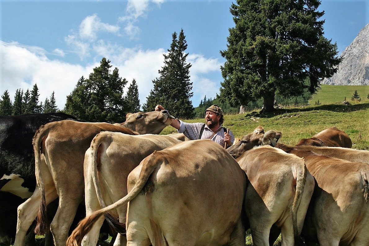Almhirt Norbert Kluckner. (Foto: Knut Kuckel)