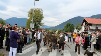 (Foto: Knut Kuckel)