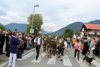 (Foto: Knut Kuckel)