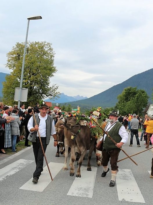 (Foto: Knut Kuckel)