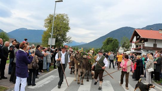 (Foto: Knut Kuckel)