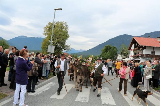 (Foto: Knut Kuckel)
