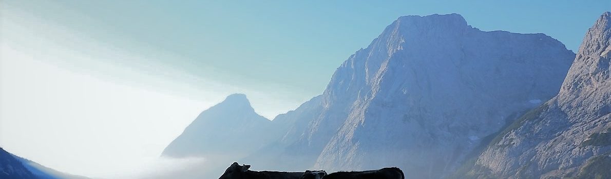(Foto: Knut Kuckel)