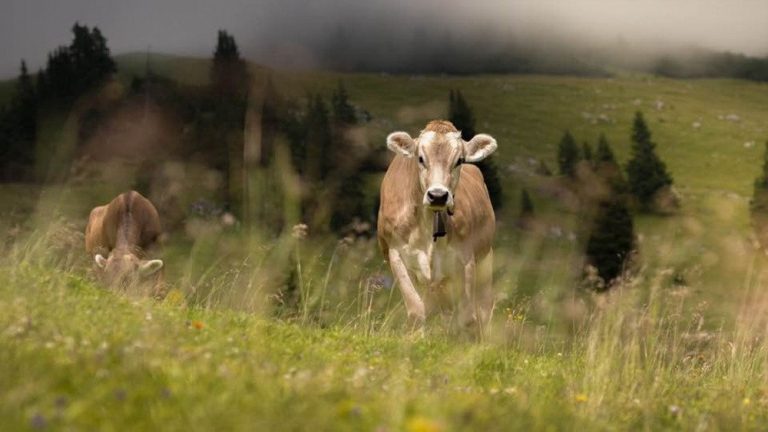 (Foto: Jörg Mette)