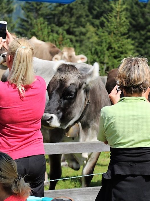 (Foto: Knut Kuckel)