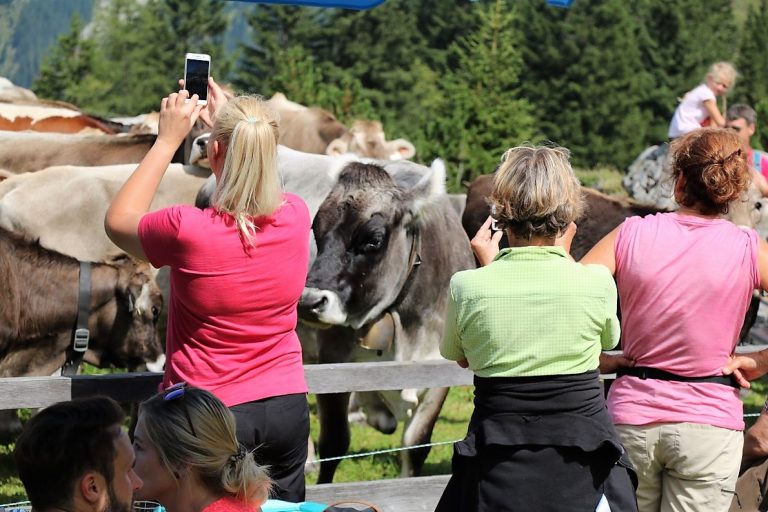 (Foto: Knut Kuckel)