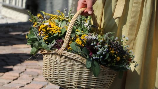 Die Kräuterbüschl bestehen in Tirol – je nach Region – aus 7, 9, 12 oder 15 Kräutern. (Foto: Knut Kuckel)