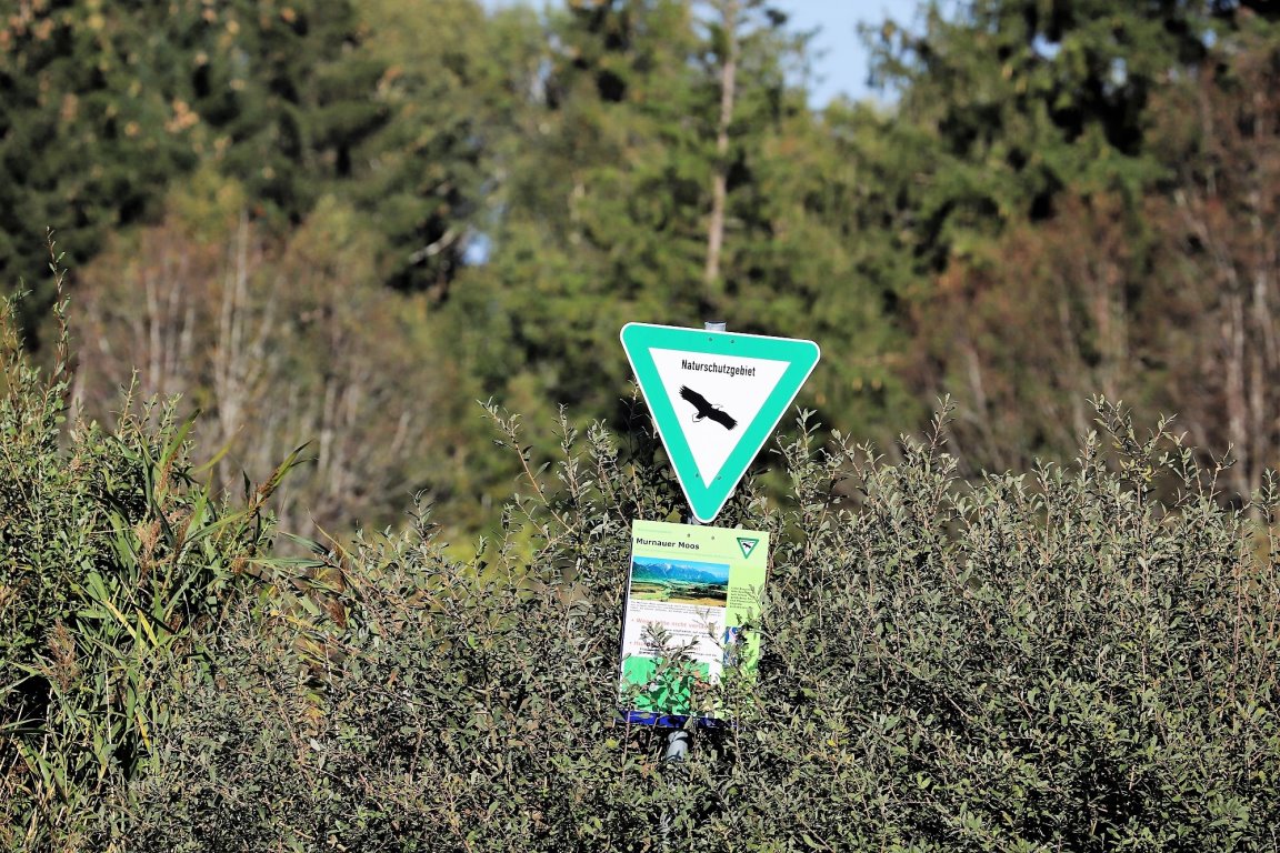 Naturschutzgebiet Murnauer Moos (Foto: Knut Kuckel)