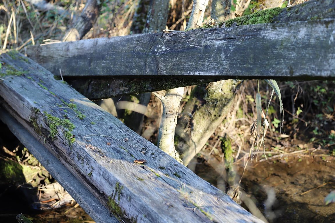 Vorsicht - Die Holzbohlen können bei Nässe rutschig sein. (Foto: Knut Kuckel)