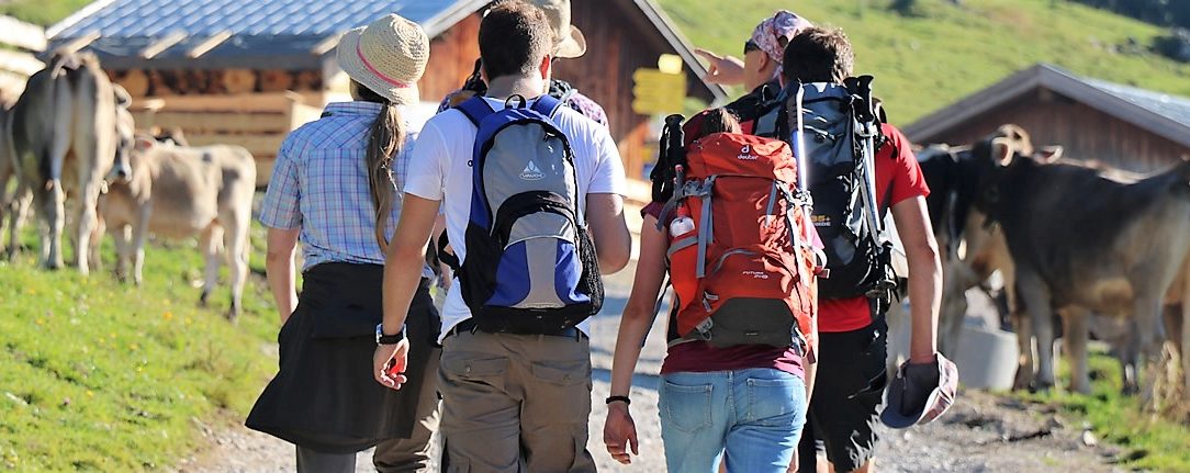 Almkühe und Wanderer (Foto: Knut Kuckel)