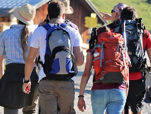 Almkühe und Wanderer (Foto: Knut Kuckel)