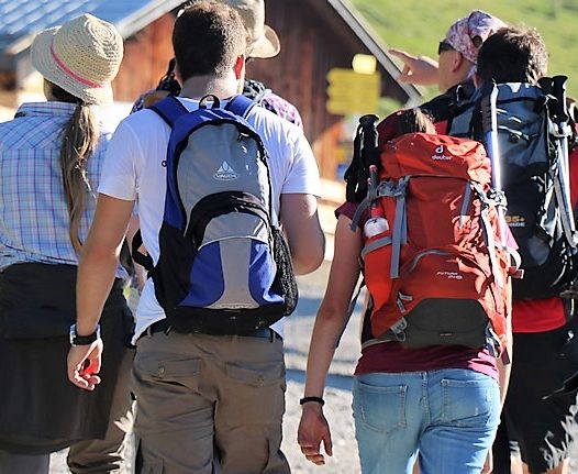 Almkühe und Wanderer (Foto: Knut Kuckel)