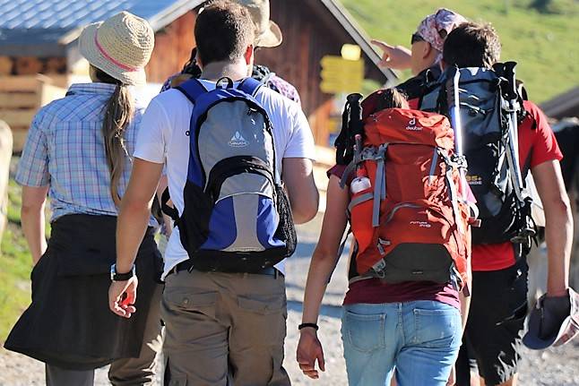 Almkühe und Wanderer (Foto: Knut Kuckel)