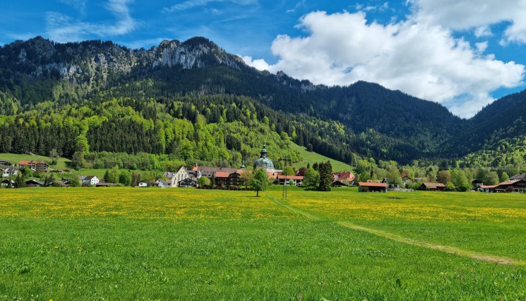 Ettaler Wald - geprägt von seinen Bewohnern (Foto: Knut Kuckel)