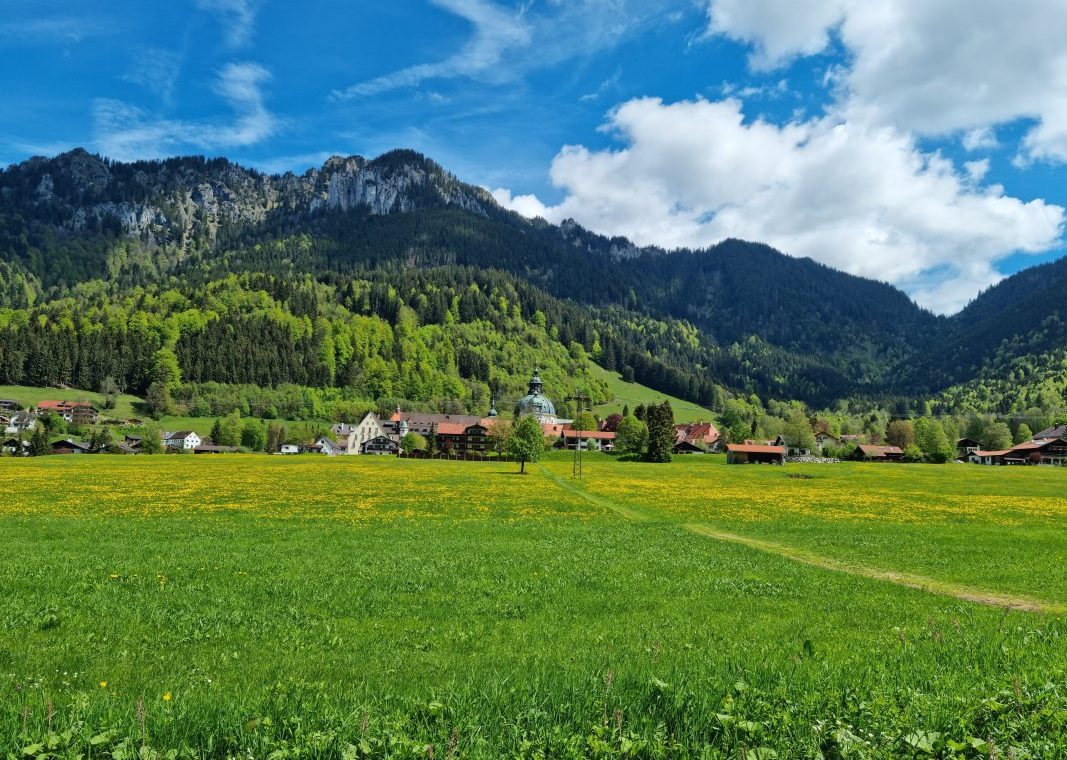Ettaler Wald - geprägt von seinen Bewohnern (Foto: Knut Kuckel)