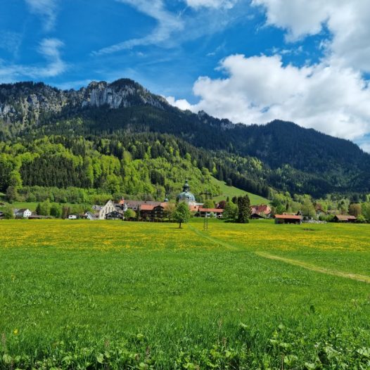 Ettaler Wald - geprägt von seinen Bewohnern (Foto: Knut Kuckel)