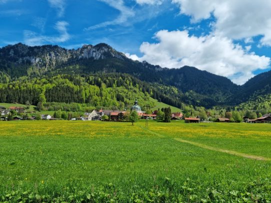 Ettaler Wald - geprägt von seinen Bewohnern (Foto: Knut Kuckel)