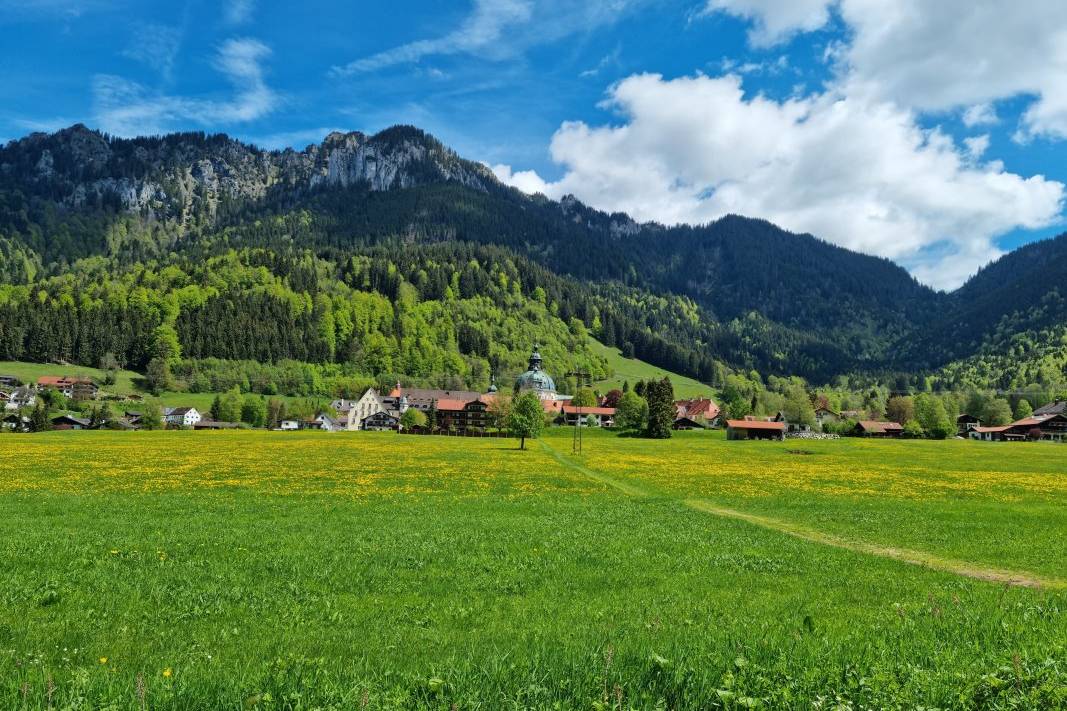Ettaler Wald - geprägt von seinen Bewohnern (Foto: Knut Kuckel)