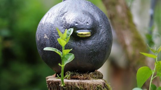 Maurice Denis soll mal gesagt haben, „Kunst ist, wenn Dinge gerundet erscheinen.“ (Foto: Knut Kuckel)