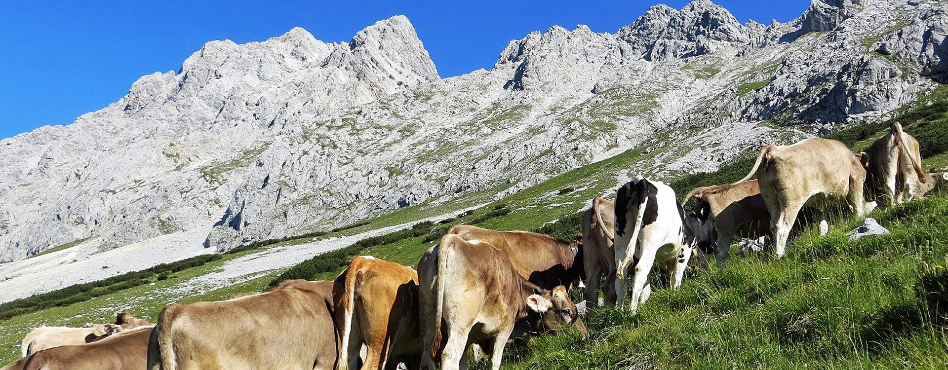 Almenland Miemingerberg